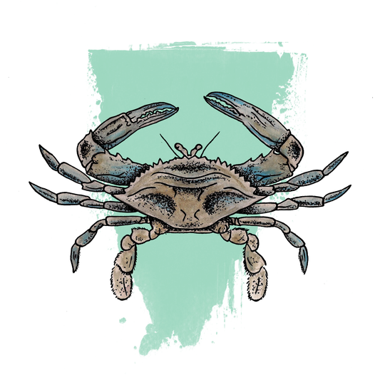 Blue Crab Pillow