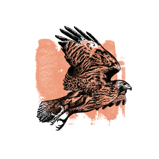 Hawk Enamel Mug