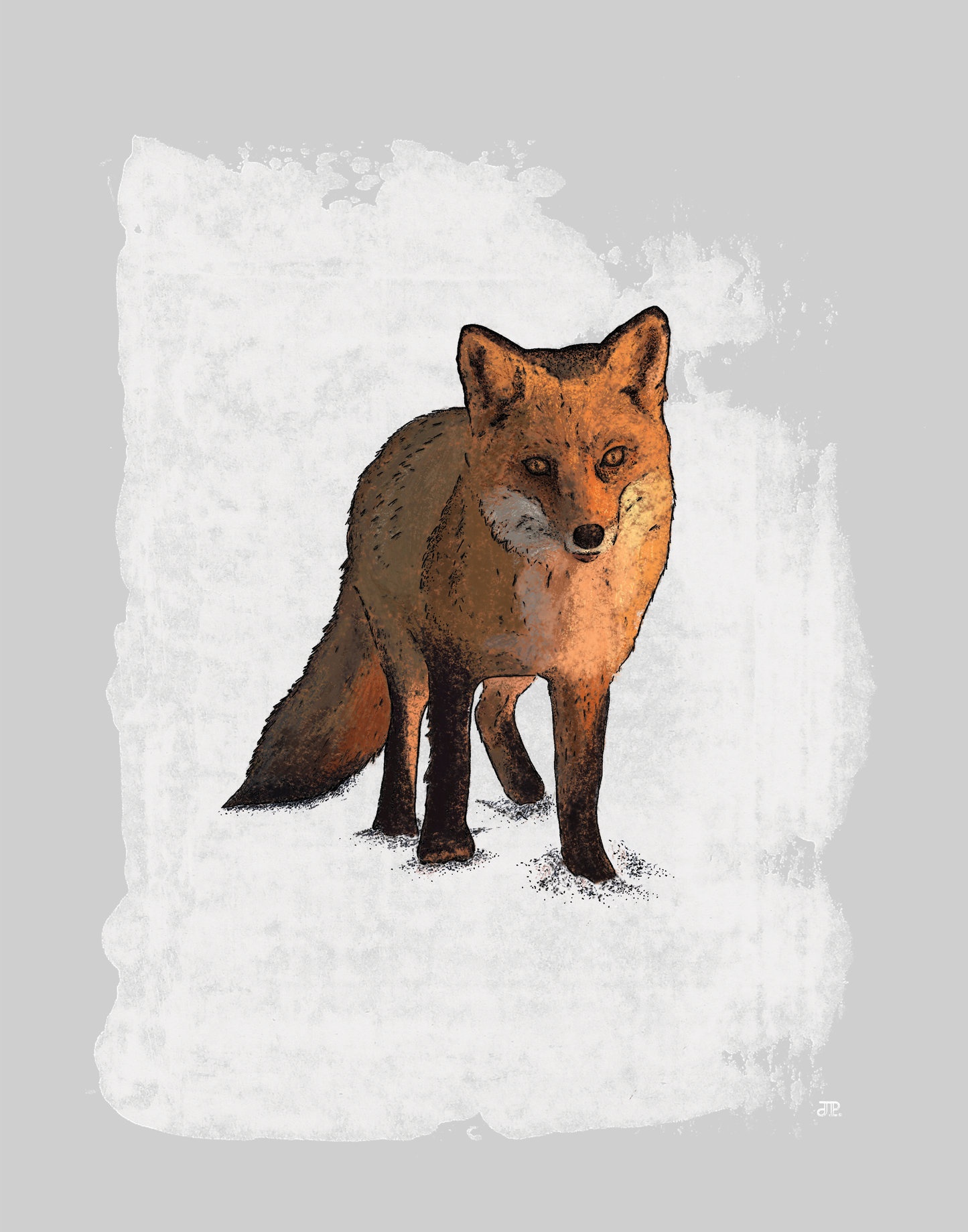 Red Fox Poster